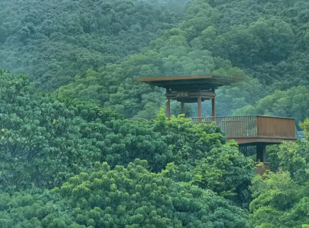 打卡点2：相思林公园
