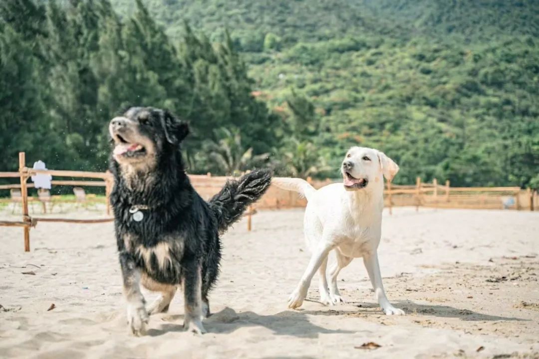 这个周末，南澳国际慢城邀您共赴秋季滨海之约！