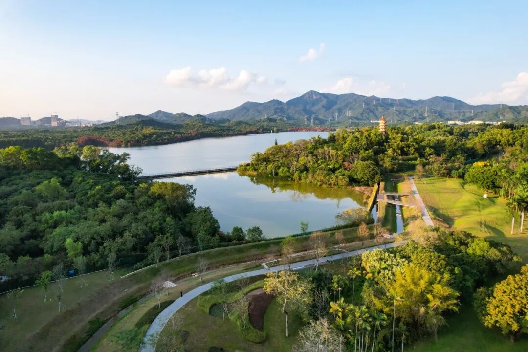 遛娃骑行又有新去处！深圳环西丽湖绿道（碧道）来啦