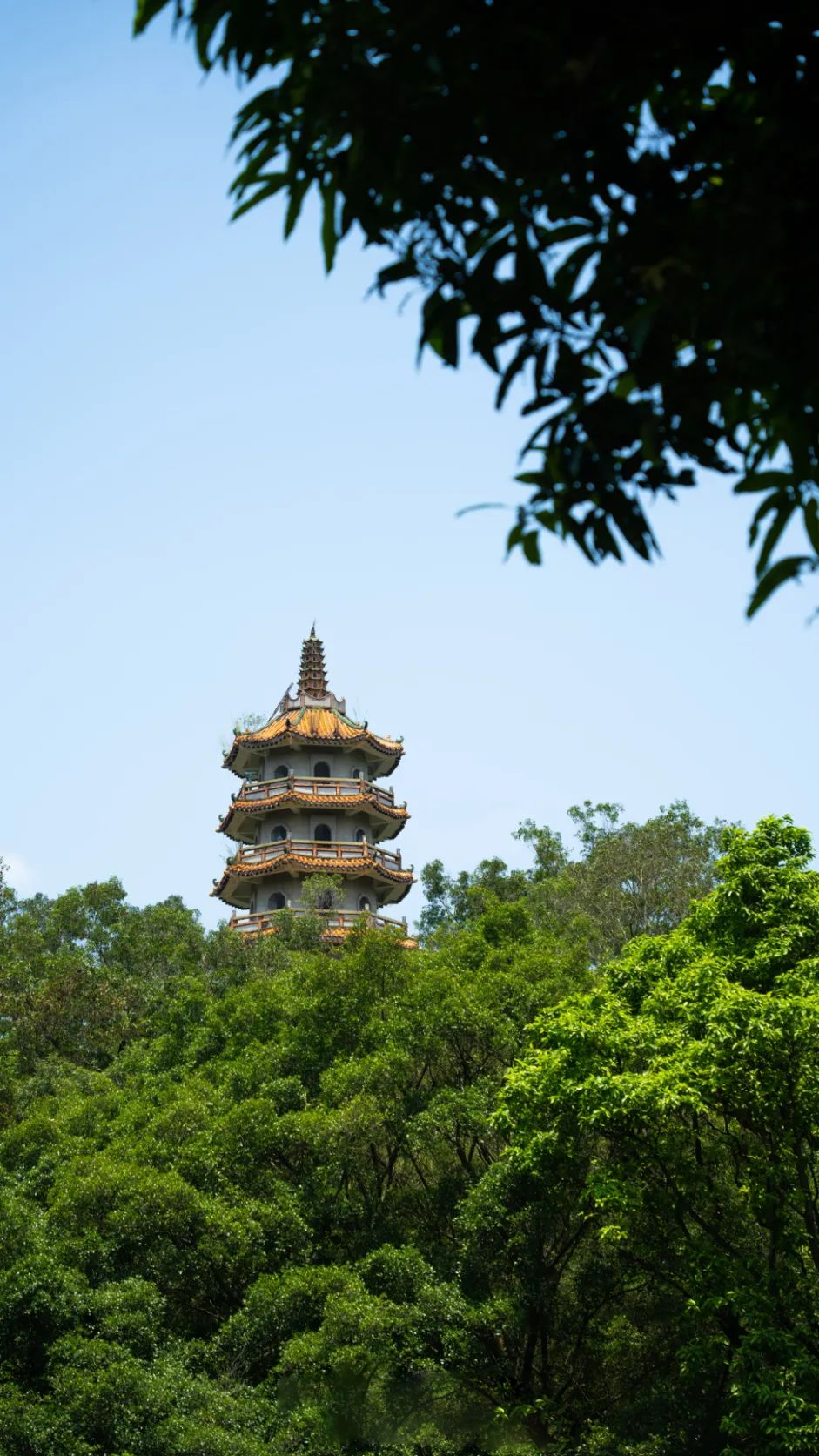 一环九景，全线贯通！环西丽湖绿道（碧道）来了