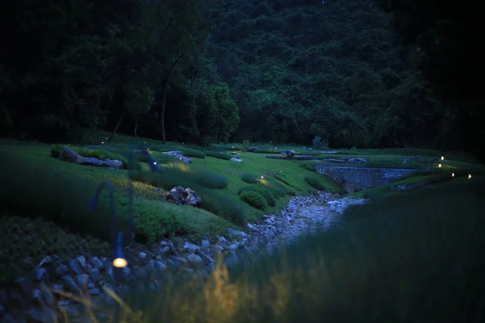 一环九景，全线贯通！环西丽湖绿道（碧道）来了