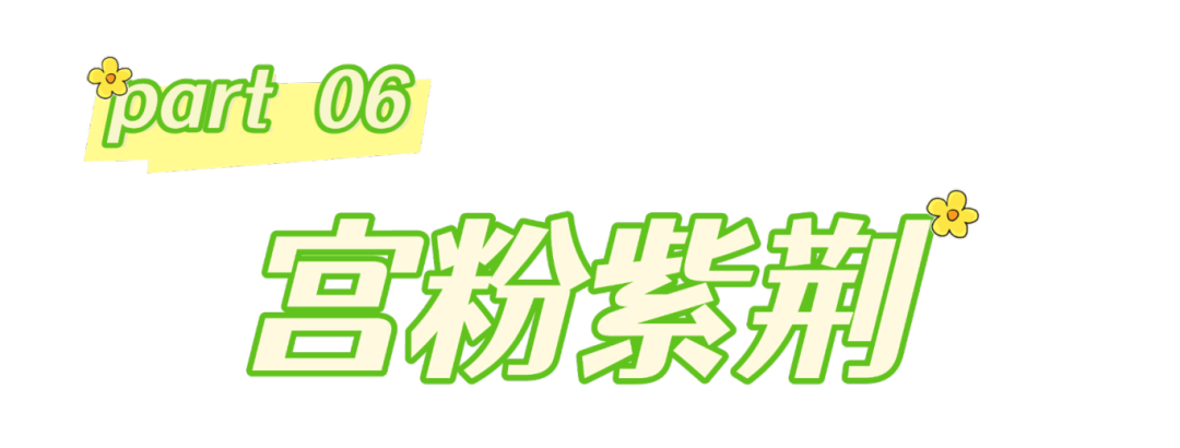 春分至,来大鹏闯进美到“犯规”的花海里~