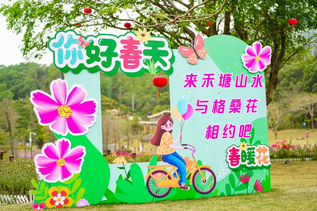 春分至!漫游大鹏这片浪漫花海→