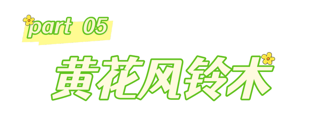 春分至,来大鹏闯进美到“犯规”的花海里~