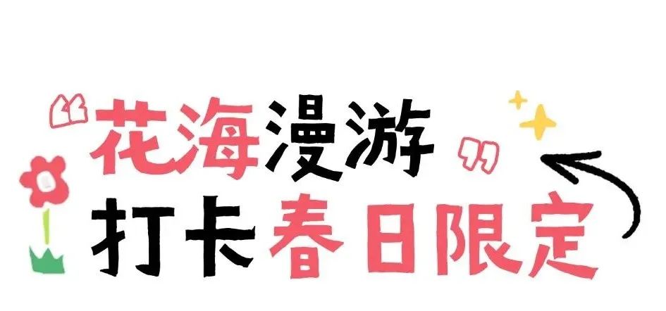 春分至！漫游大鹏这片浪漫花海→