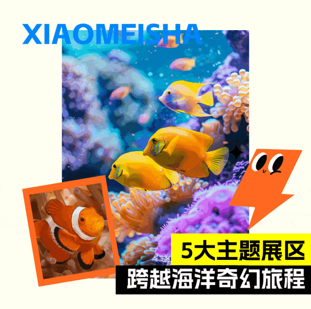 『小梅沙海洋世界』踏青季限时特惠！338元双人早鸟票，裸眼3D、全息投影，身临其境地感受海洋深处的奇妙与震撼！