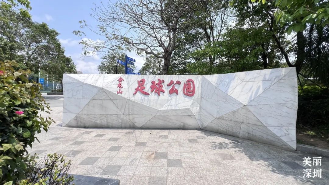 来宝安邂逅一场绝美「樱花雨」