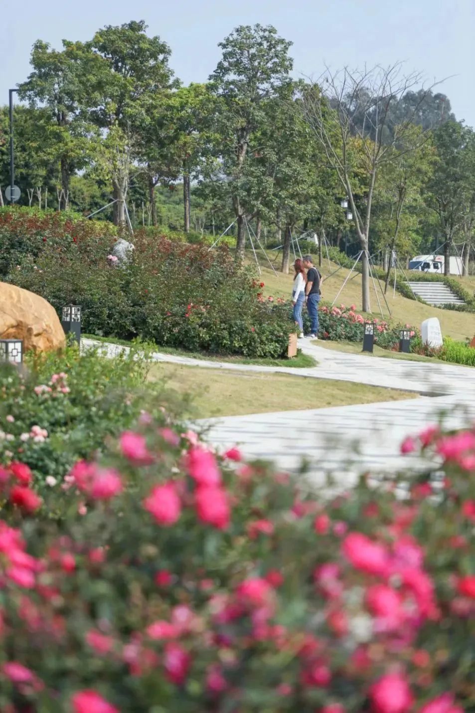 藏不住了!宝安的「踏青圣地」都在这了→