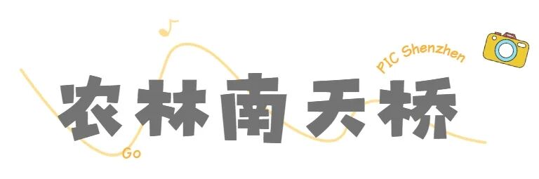 官方认证！“深圳打卡点”来了！