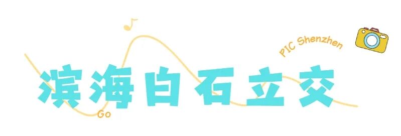 官方认证！“深圳打卡点”来了！