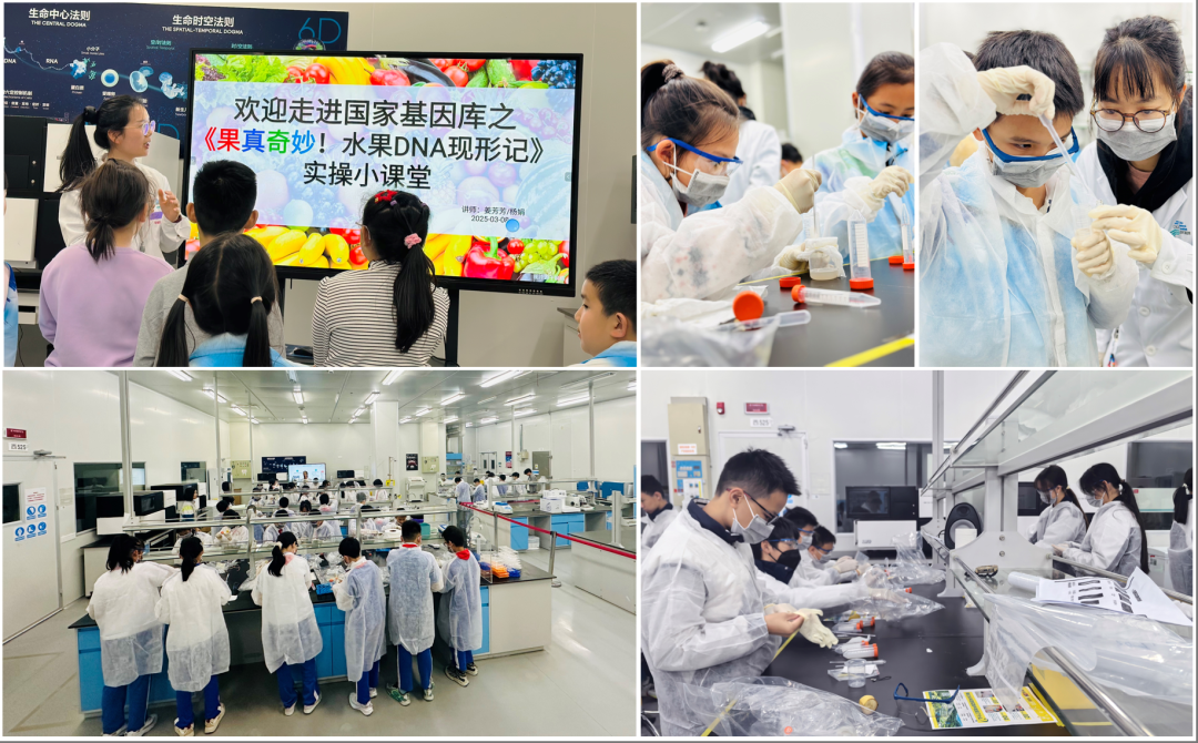 深圳国家基因库开放日科普嘉年华来啦!