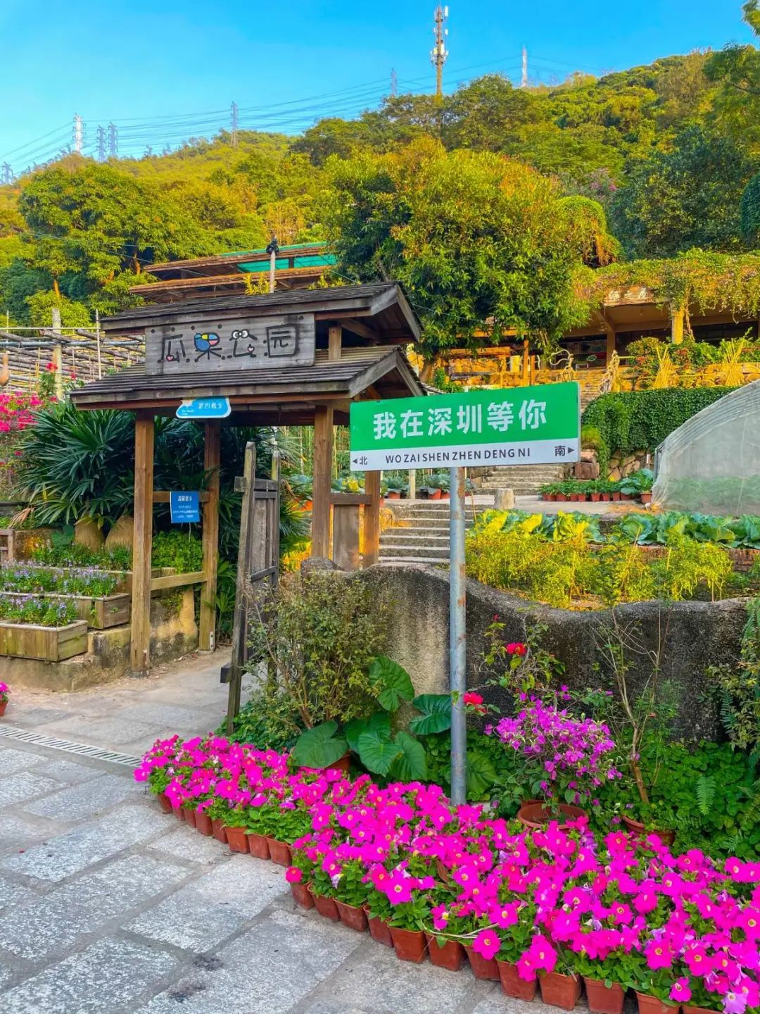 https://qnimg.zowoyoo.com/img/297392/1730778203368.jpg 五一特惠!【青青世界】59.9元起抢五一预售哪吒成人/亲子门票!5月可任选一天入园!奇幻青青,哪吒降临!哪吒主题沉浸活动~
