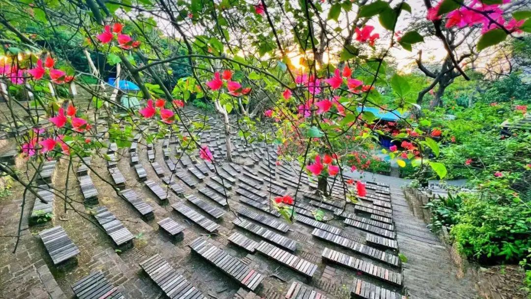 https://qnimg.zowoyoo.com/img/297392/1730778204198.jpg 五一特惠!【青青世界】59.9元起抢五一预售哪吒成人/亲子门票!5月可任选一天入园!奇幻青青,哪吒降临!哪吒主题沉浸活动~