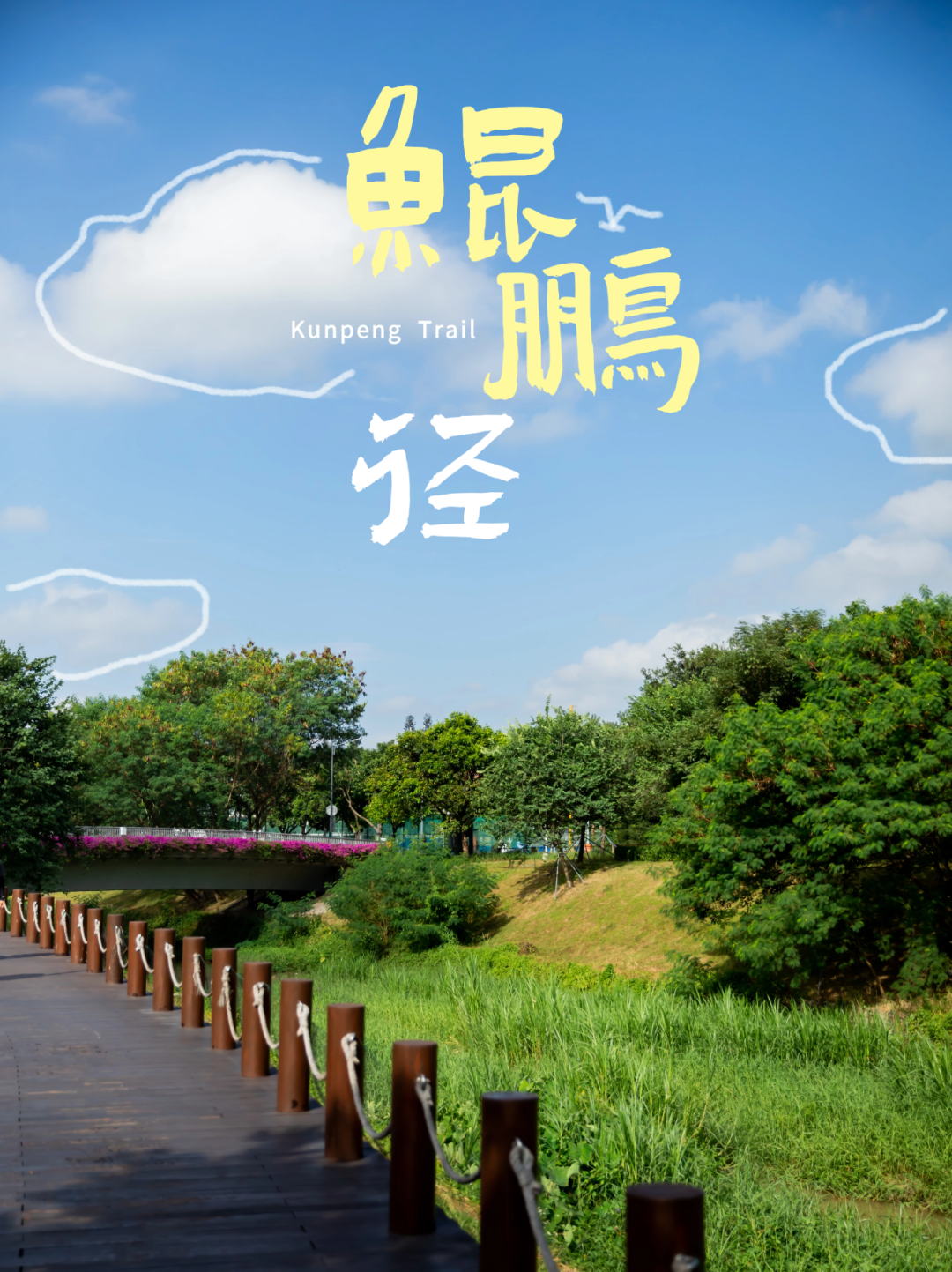 深圳大沙河,在鲲鹏径第六段邂逅浪漫!