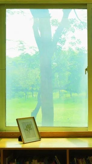 初夏,来福田河绿道拥抱绿意!