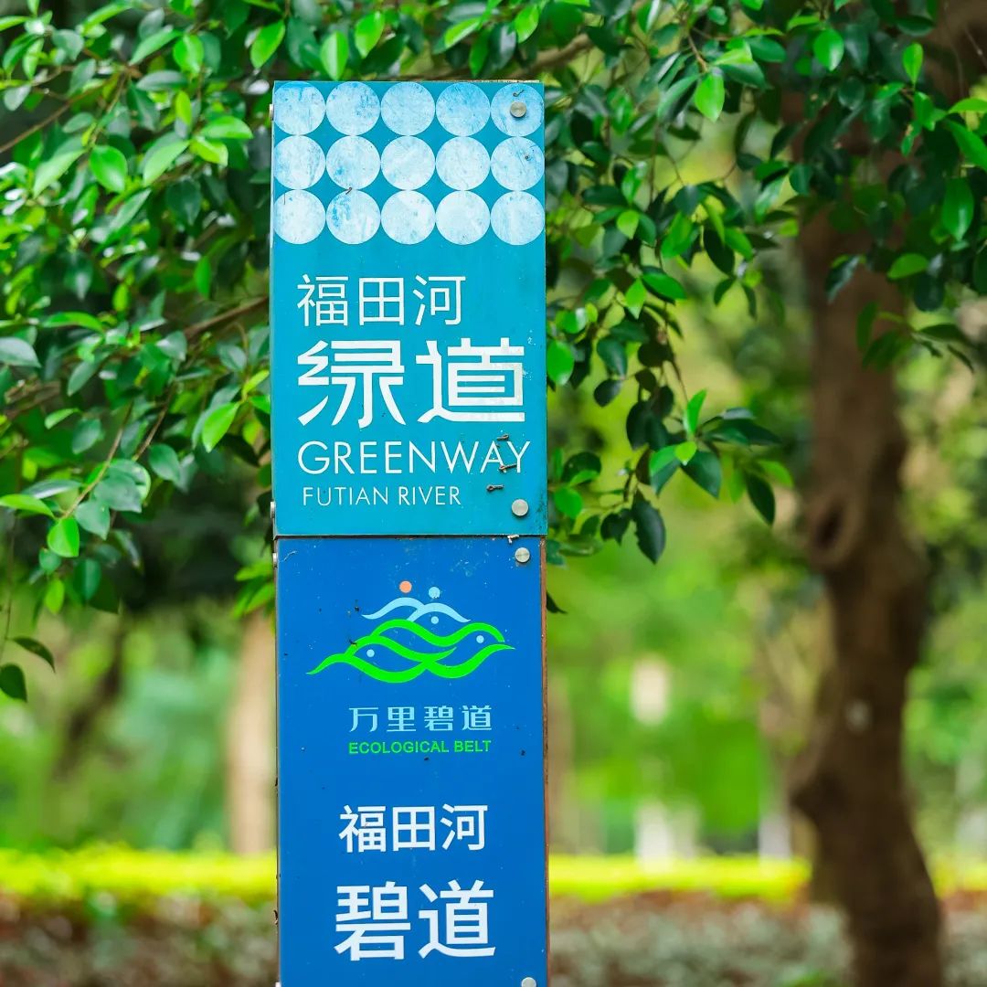 初夏,来福田河绿道拥抱绿意!