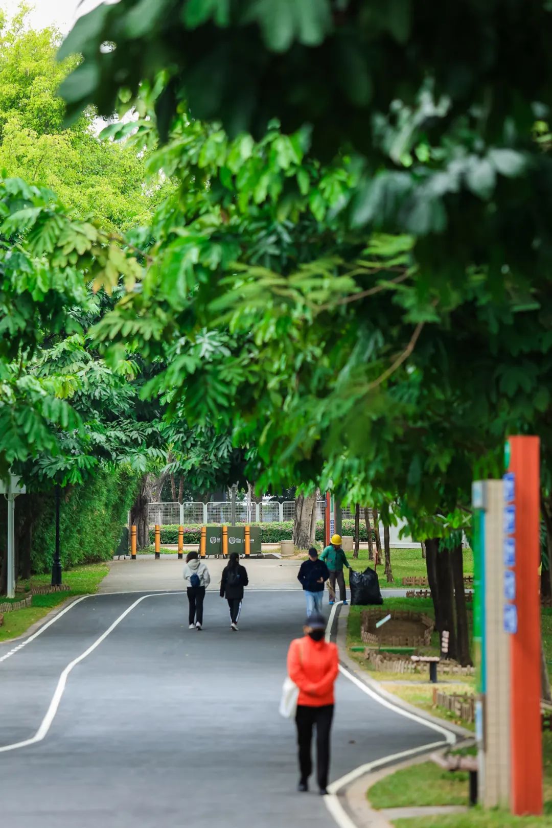 初夏,来福田河绿道拥抱绿意!