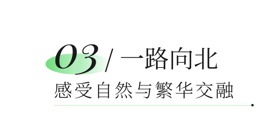 初夏,来福田河绿道拥抱绿意!