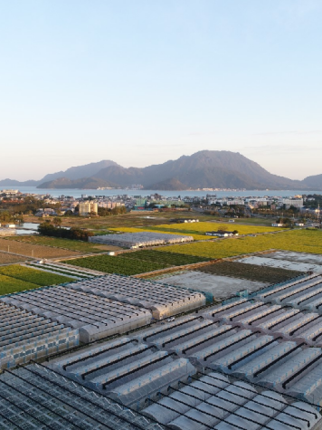 深圳图书馆 “暑期缤纷季” 来袭,开启花样阅读之旅!