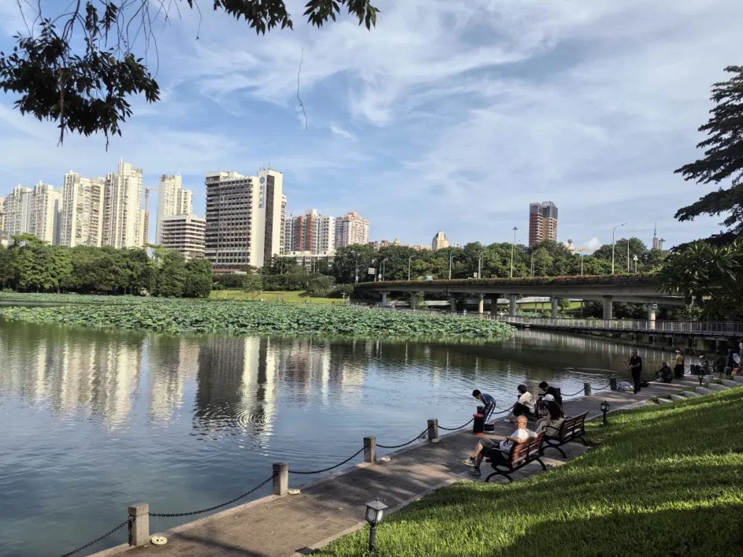 洪湖公园荷花赏延长至7月20日!全新儿童游乐区开放,假期带娃赏荷指南来啦→