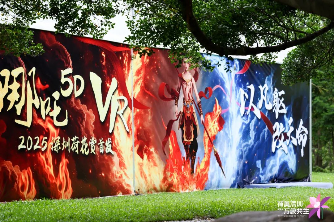 洪湖公园荷花赏延长至7月20日!全新儿童游乐区开放,假期带娃赏荷指南来啦→