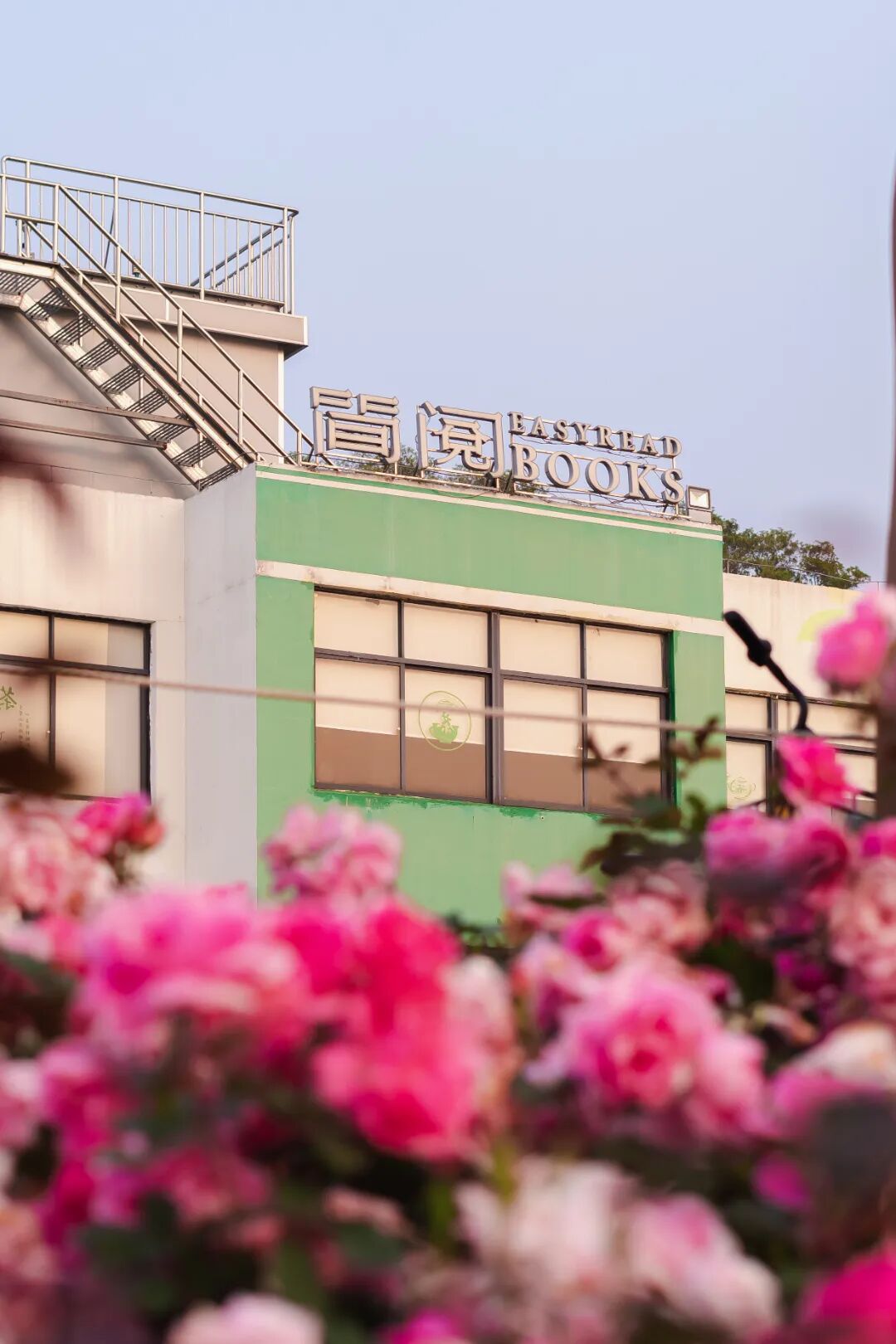 2000㎡花海！宝安给自己修了座「莫奈花园」