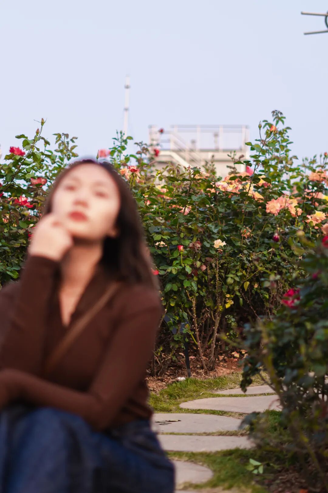 2000㎡花海！宝安给自己修了座「莫奈花园」