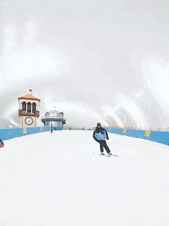 2026龙华区体育公益培训第三期开启报名！风洞、滑雪、柔道......免费体育课又来！