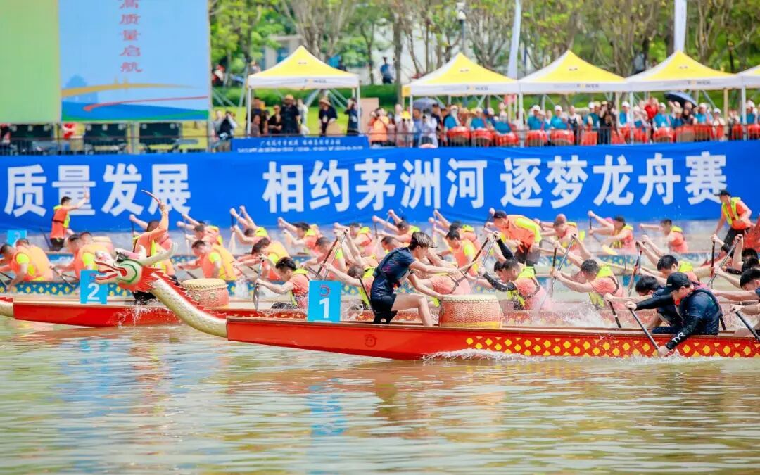 2026年大湾区首场龙舟赛门票免费开抢