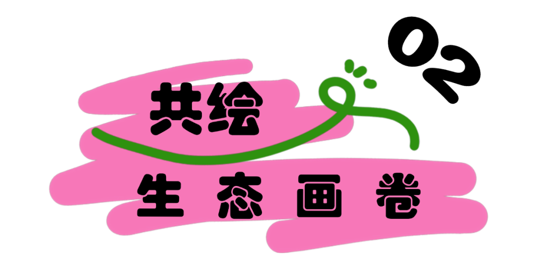 深圳夏日顶流!洪湖公园来赏荷