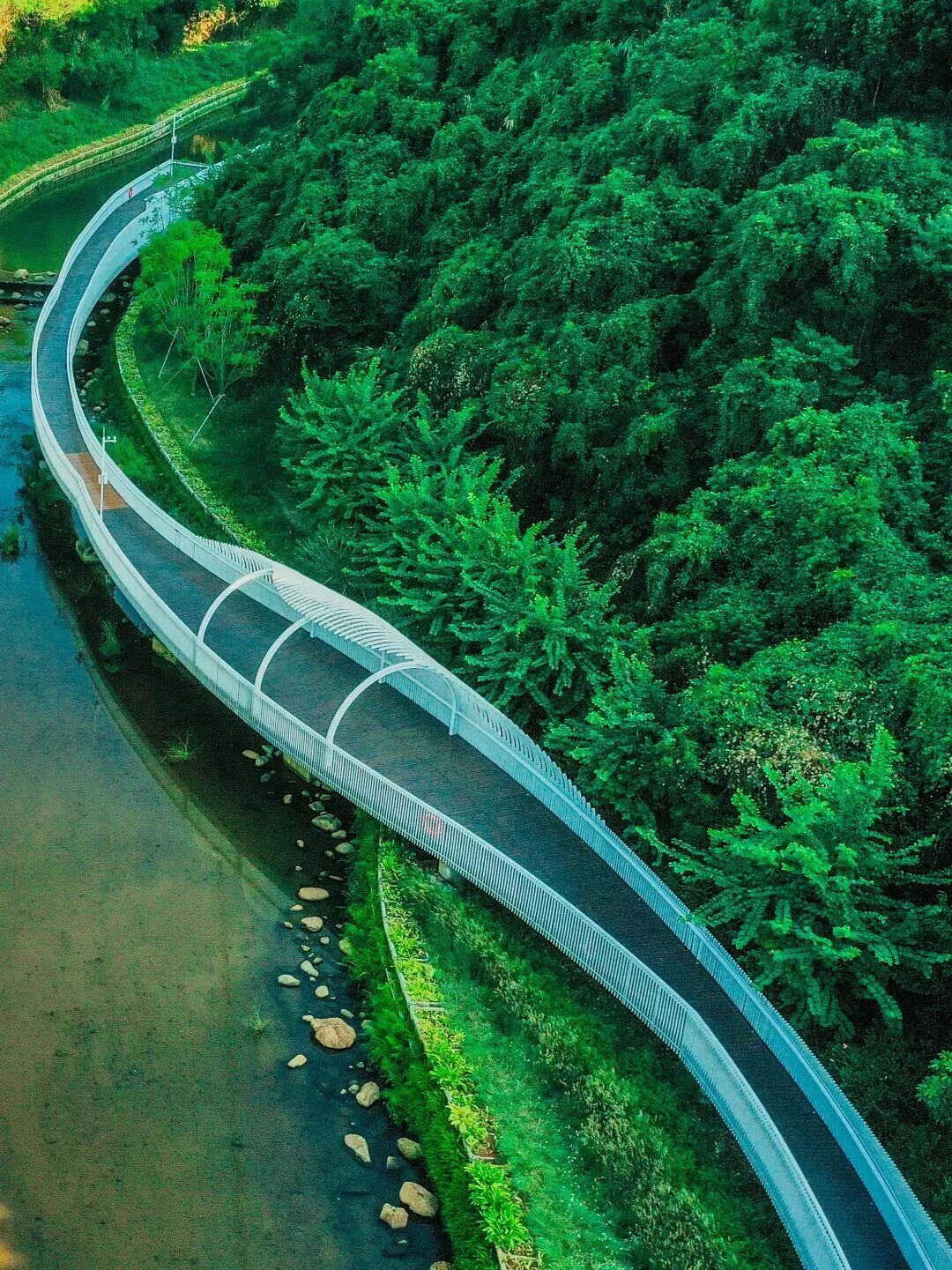 2026深港环水库骑行赛报名通道即将开放