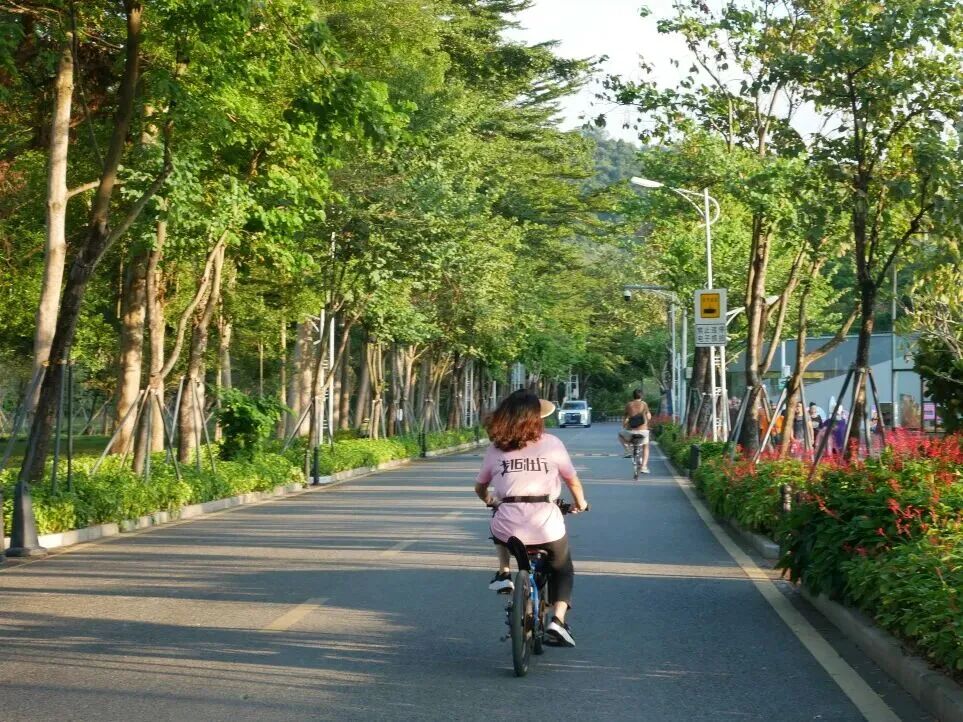 2026深港环水库骑行赛报名通道即将开放